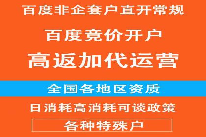 百度推广操作指南：案例解析关键词优化